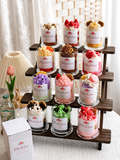 MaRose Aromas Dessert Candle Collec